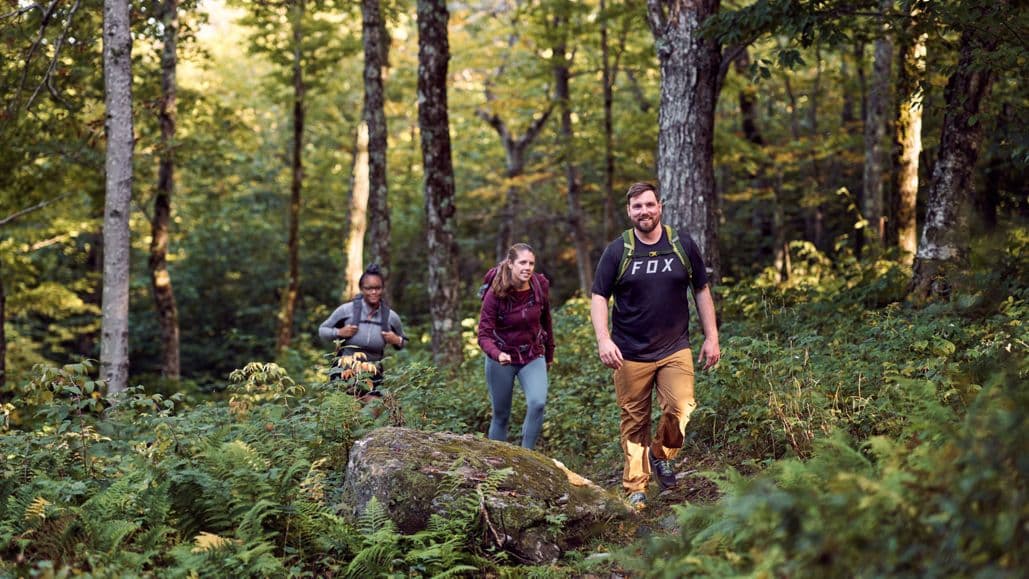 3 people walking hiking in a green forest.